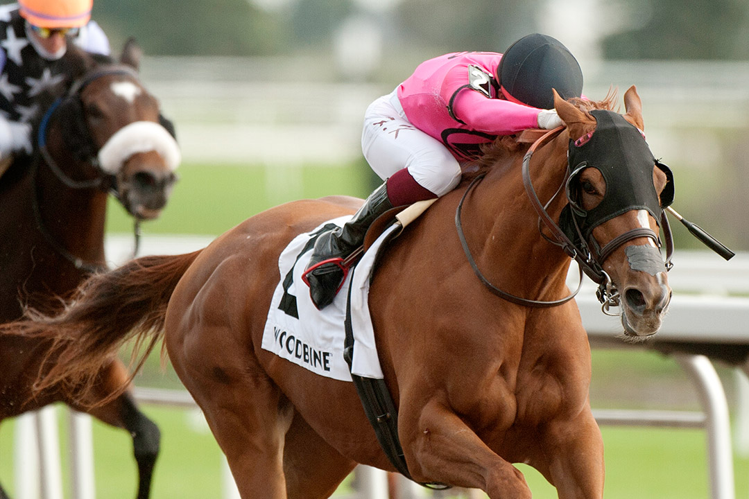 Our Secret Agent wins the 2021 Hendrie Stakes at Woodbine