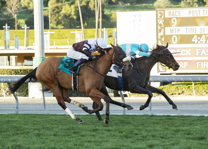 Ouraika (light blue) wins Sweet Life 2-12-2022