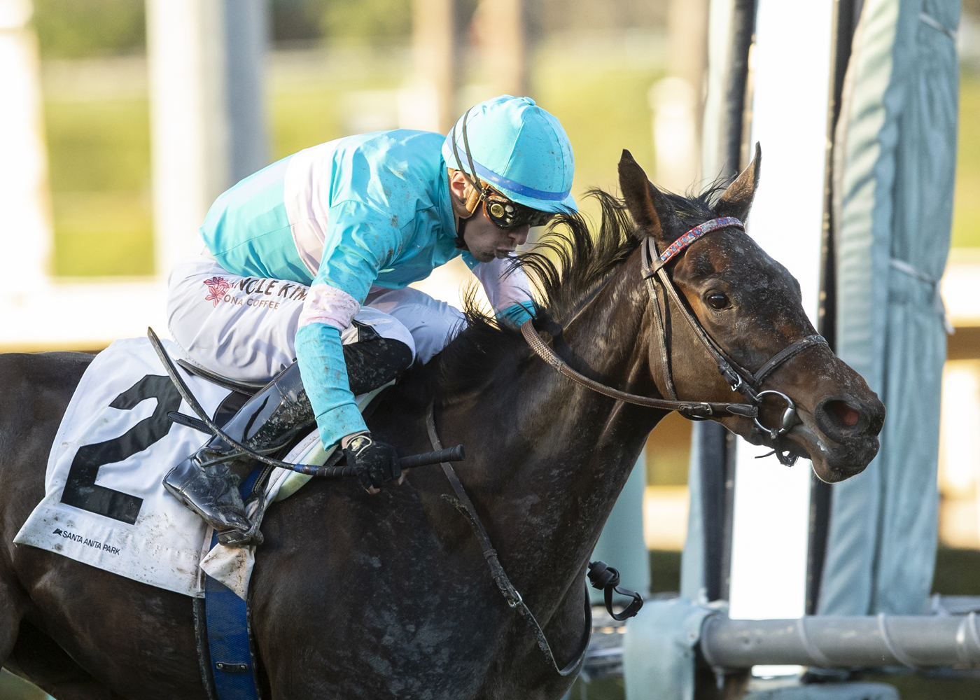 Ouraika wins Sweet Life Stakes 2-12-2022