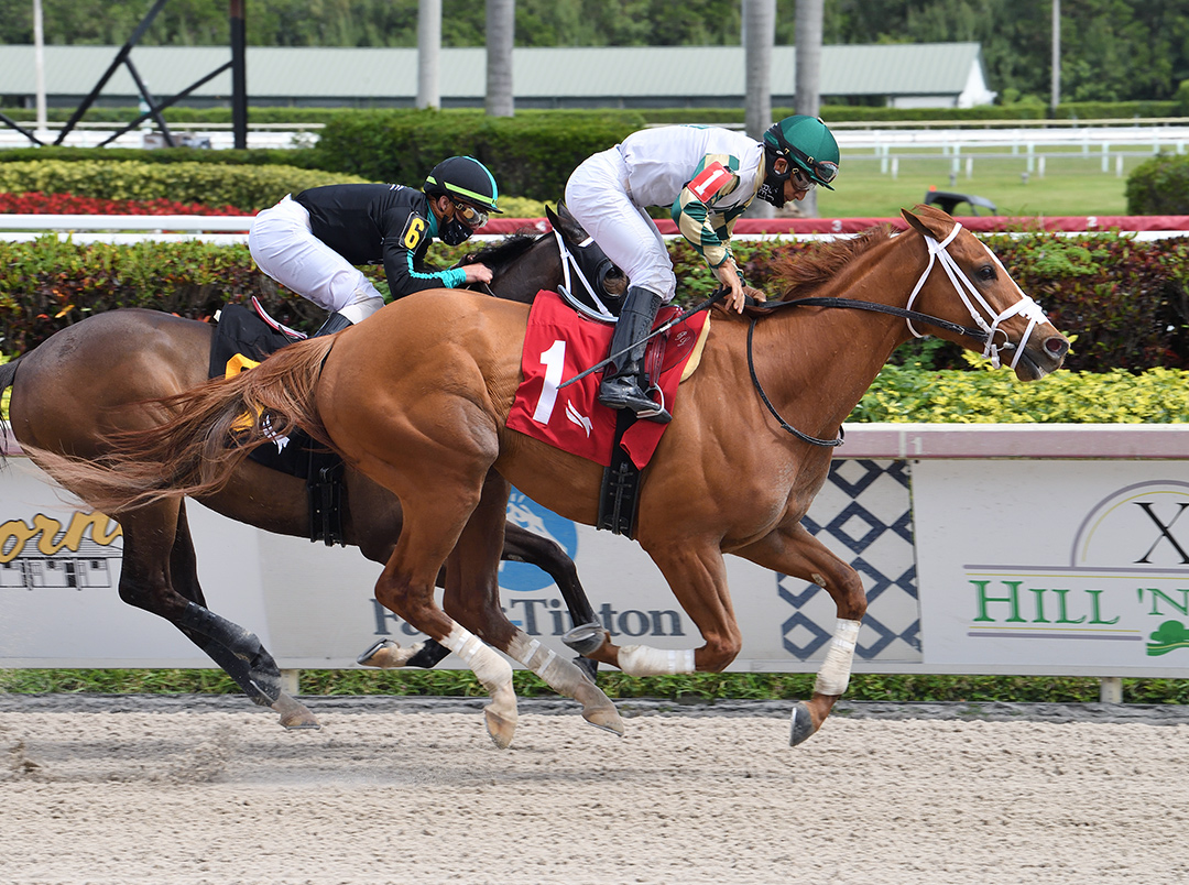 Ournationonparade wins a March 6 optional claiming allowance race at Gulfstream