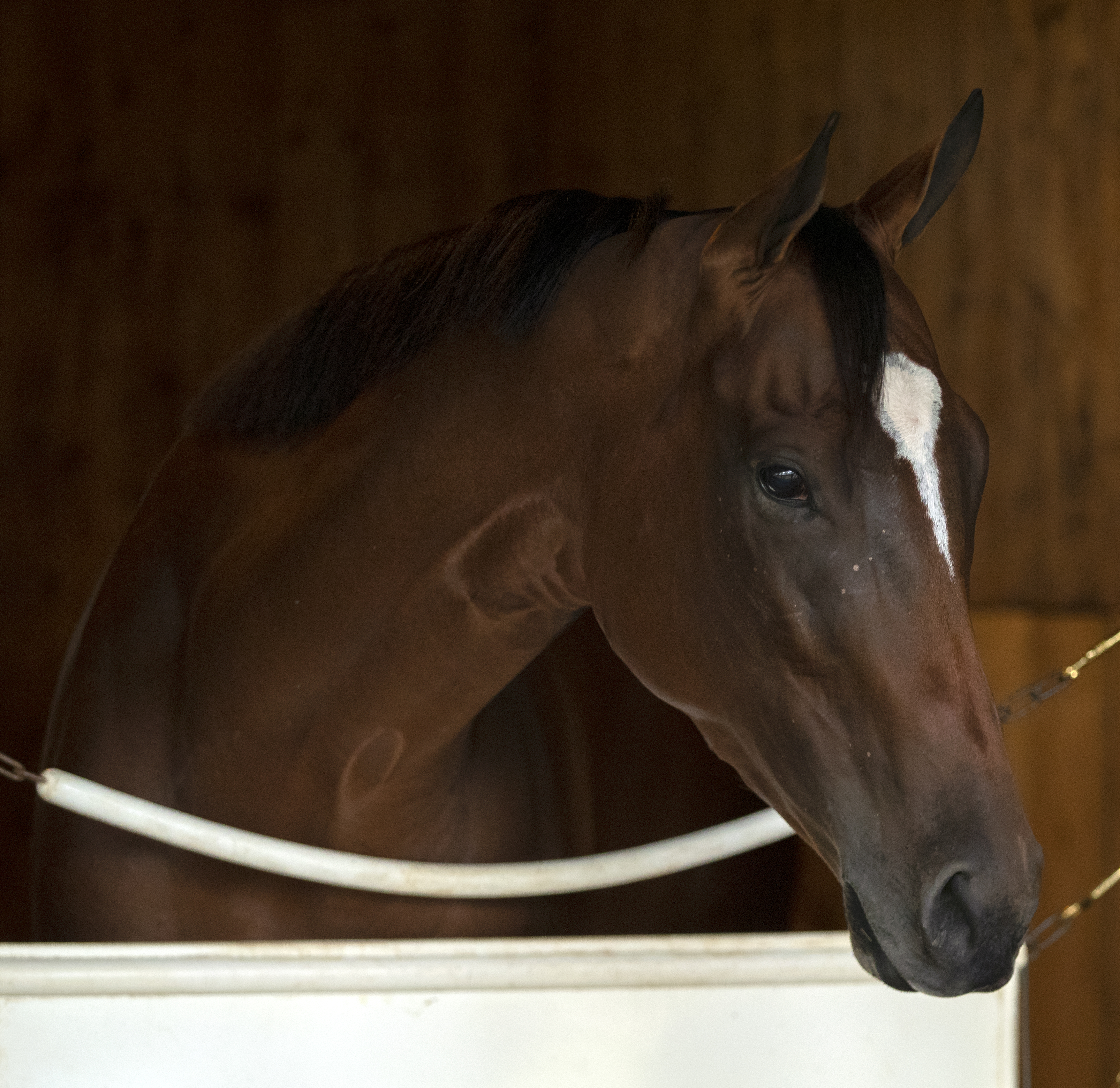 Ours to Run at Saratoga on 7.22.19