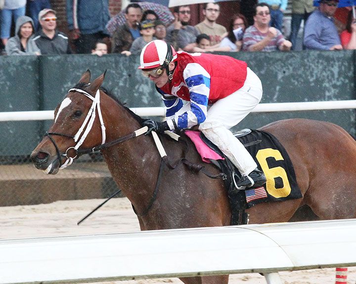 Ours to Run wins the 2019 Carousel Stakes