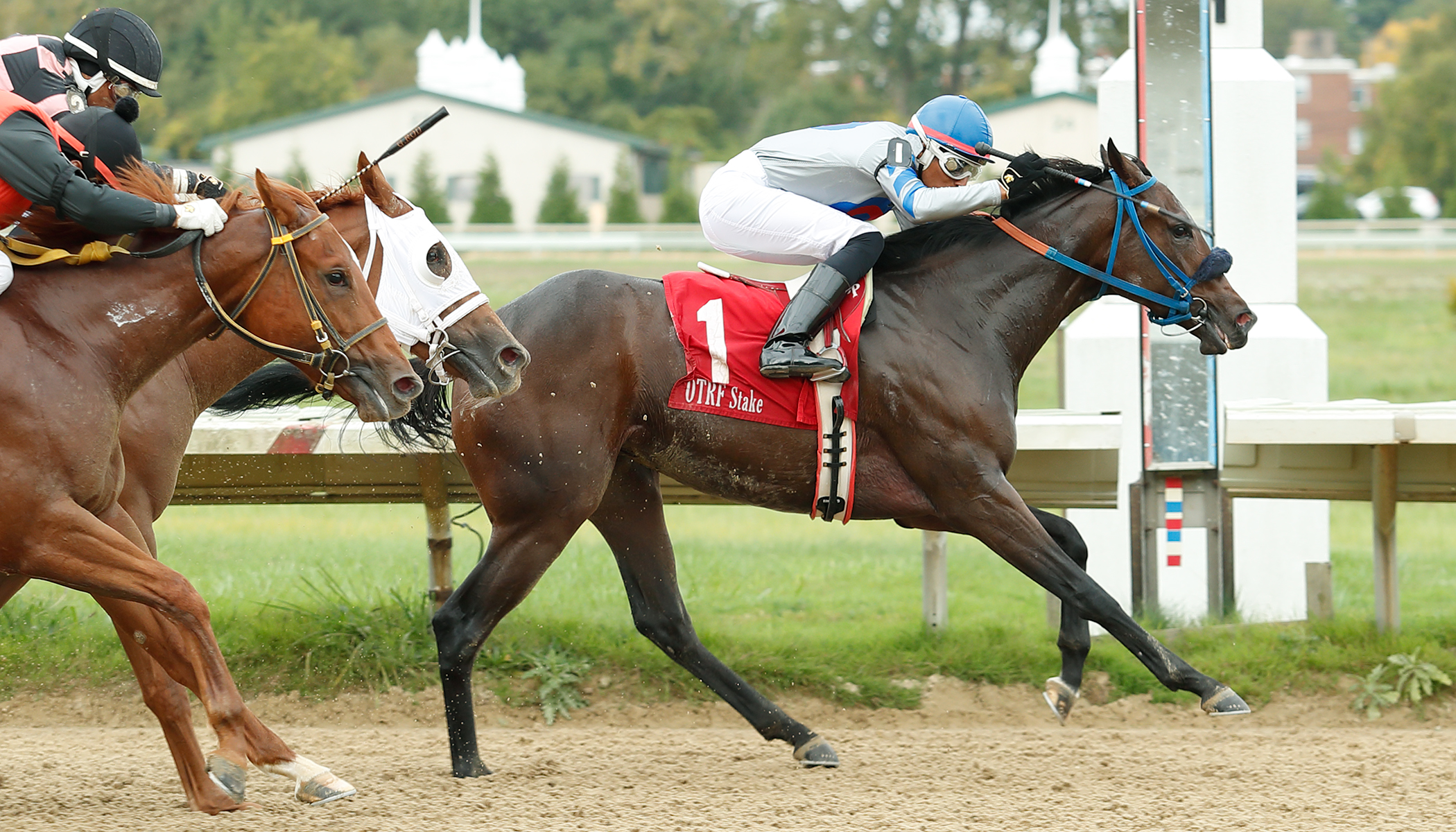 Out for Fun, Emerald Necklace, Thistledown