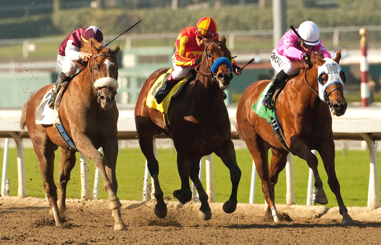 Out of Bounds (left), Secret Circle (center), Longview Drive, Sham Stakes