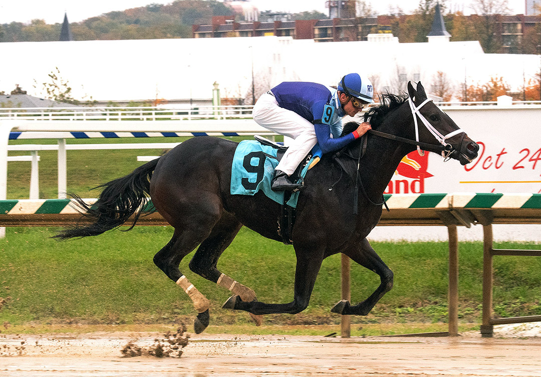 Out of Sorts wins a Nov. 1 maiden race at Laurel Park