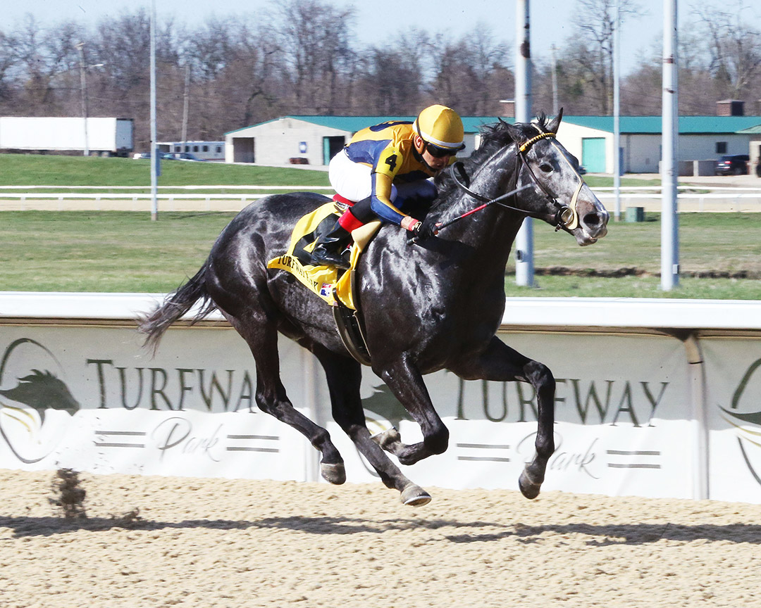 Outadore wins the 2021 Animal Kingdom Stakes at Turfway Park