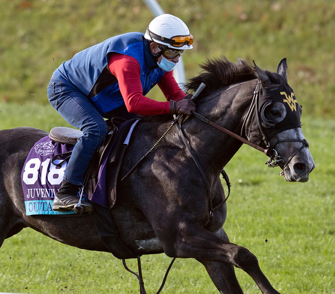 Outadore trains at Keeneland for the 2020 Breeders' Cup