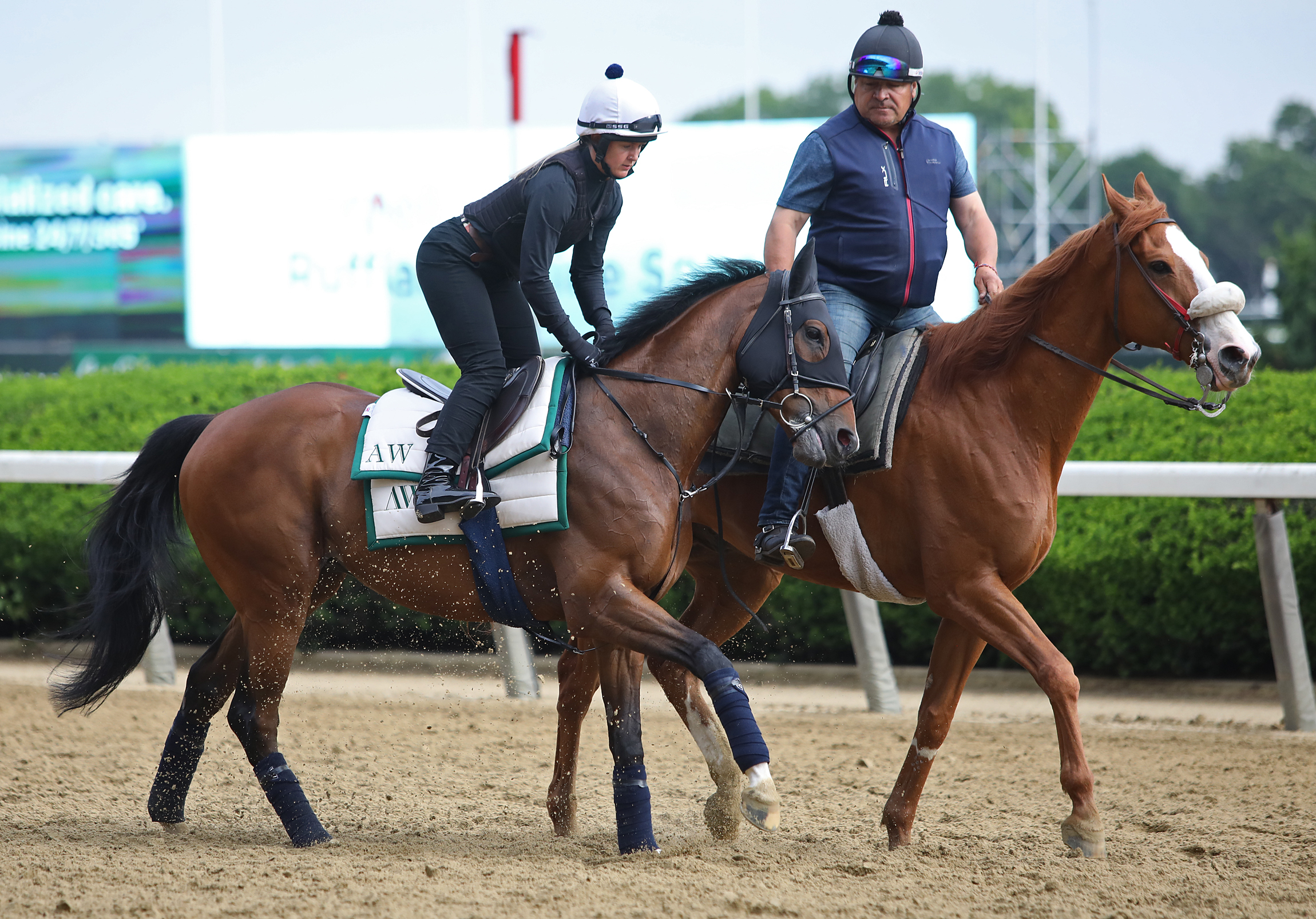 Outbox, Belmont Gold Cup