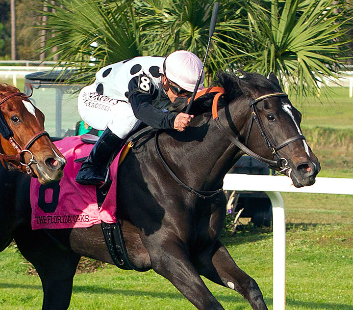 Outburst wins the 2020 Florida Oaks at Tampa Bay Downs
