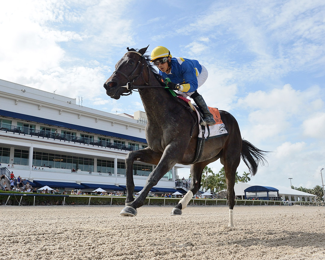 Outfoxed wins the 2021 Florida Sire Susan's Girl Stakes at Gulfstream Park