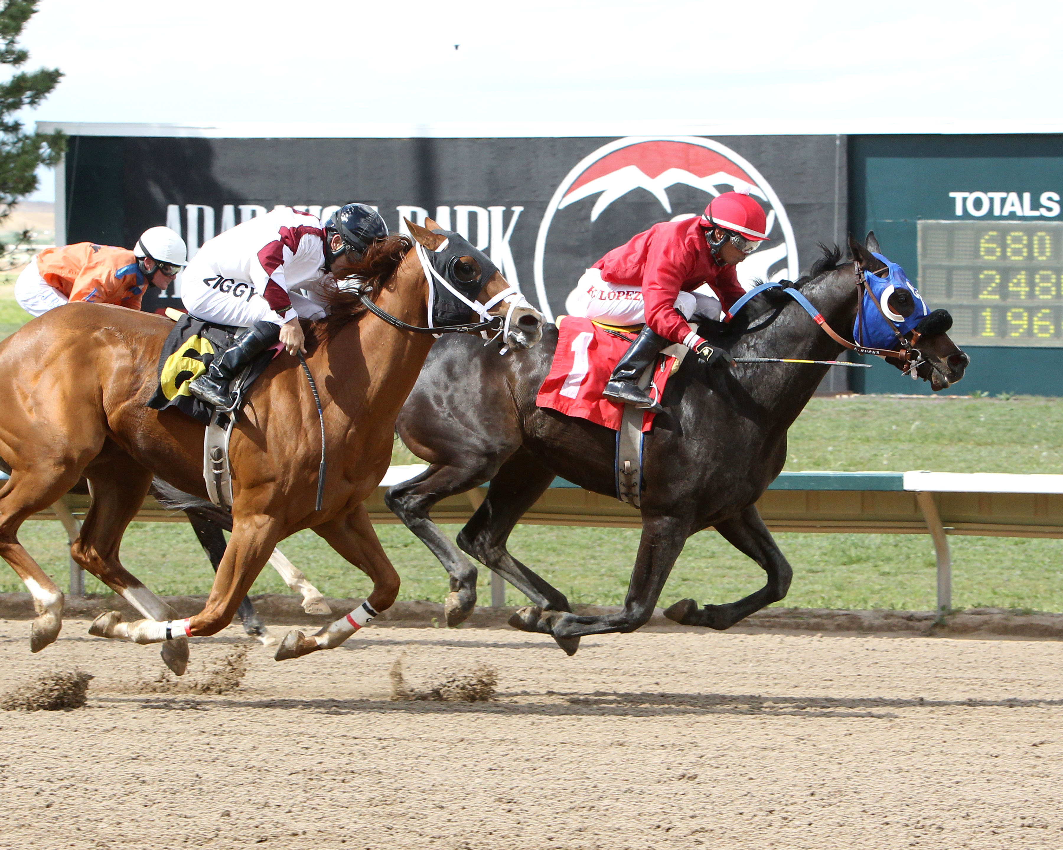 Outrageous Green wins the 2017 Inaugural Stakes