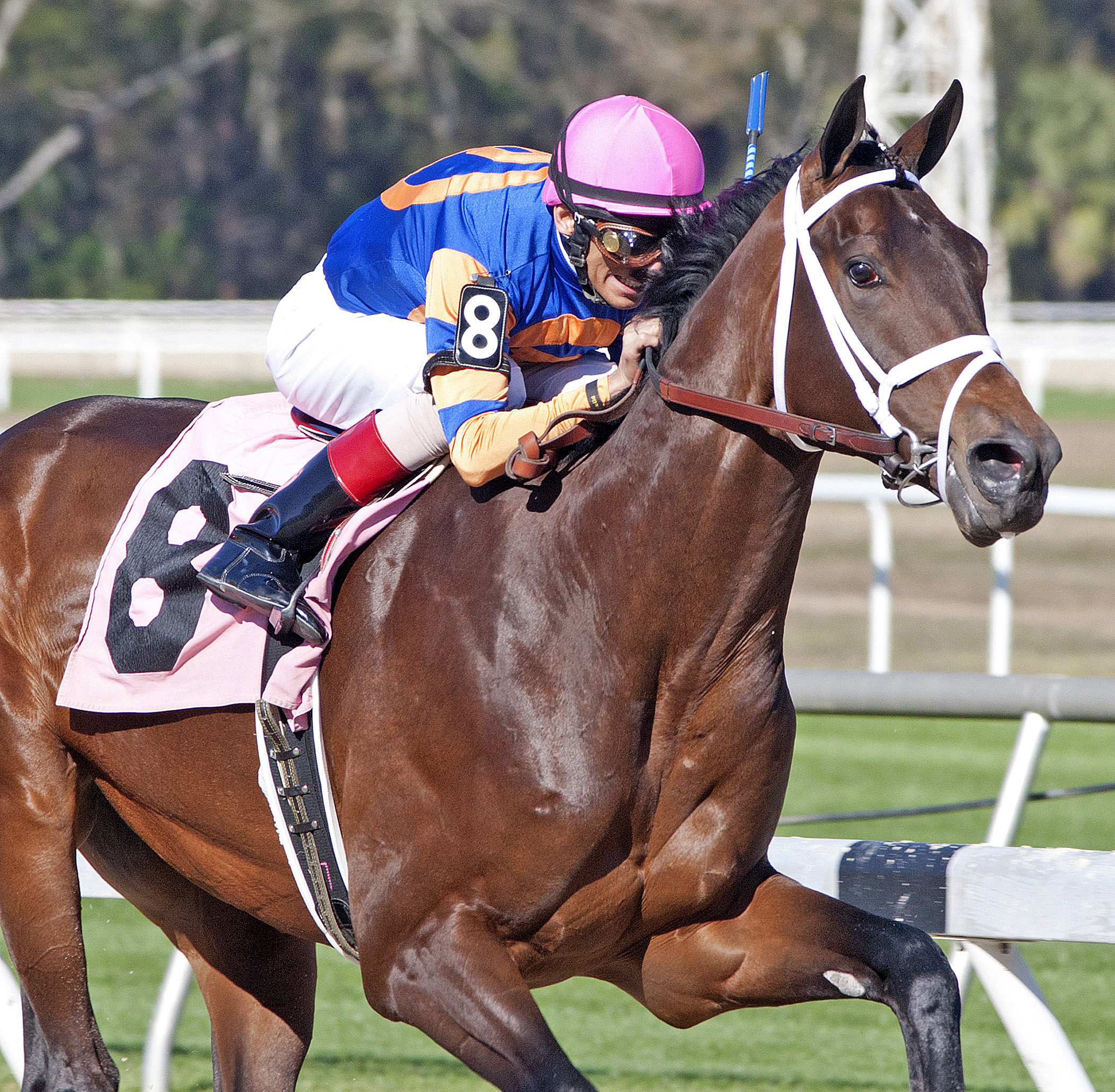 Outwork wins an allowance optional claimer