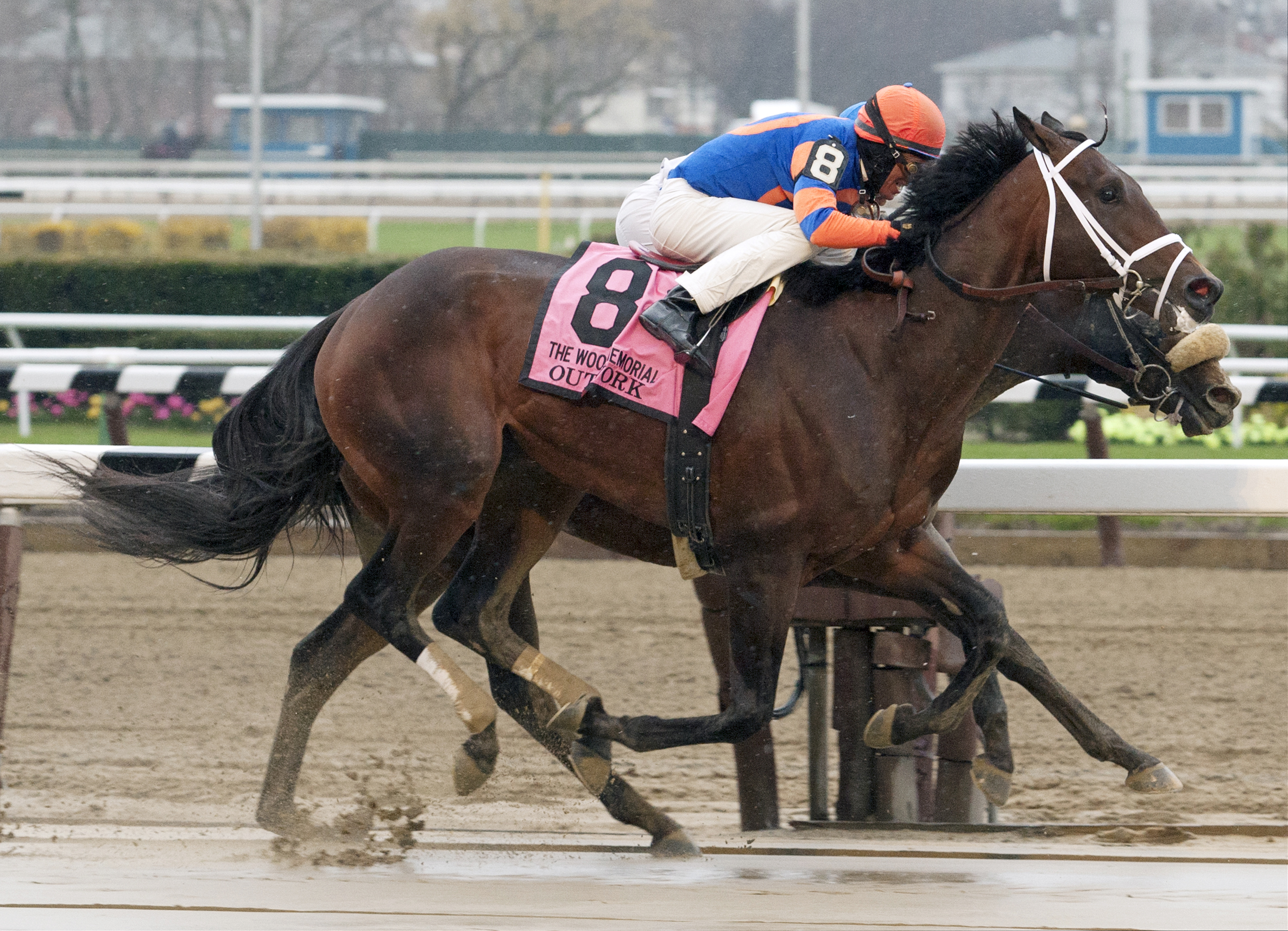 Outwork wins the Wood Memorial Stakes
