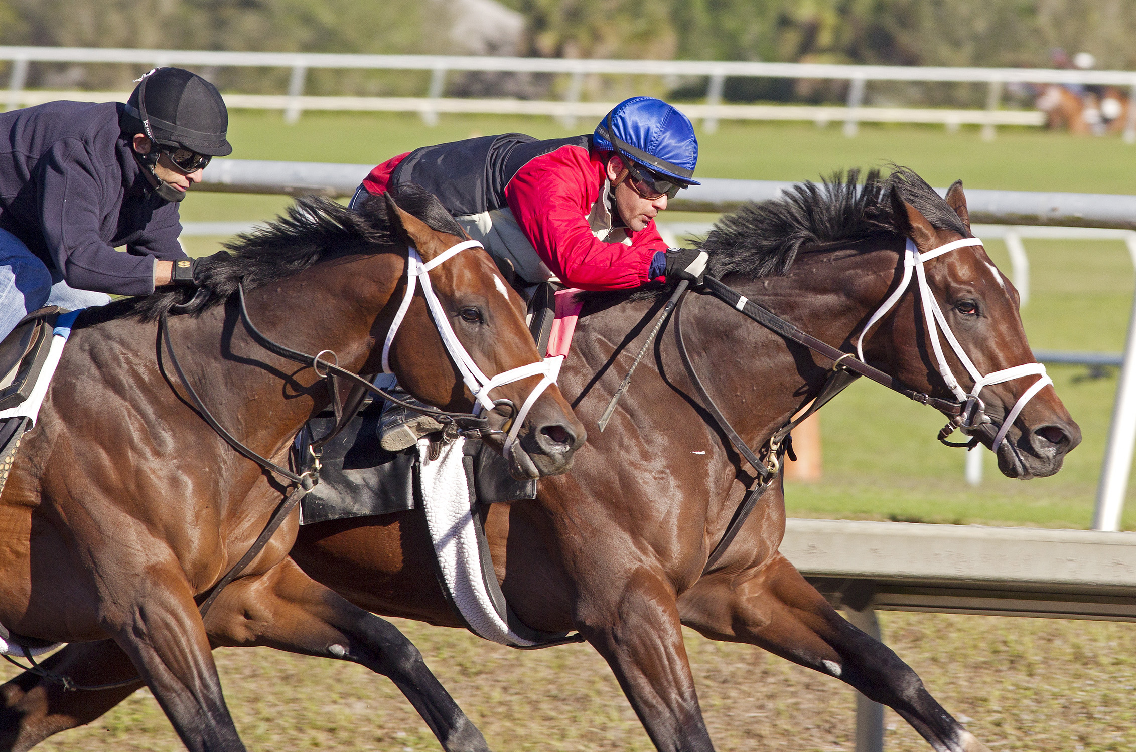 Delhomme (right) works with overanalyze on Feb. 17, 2013