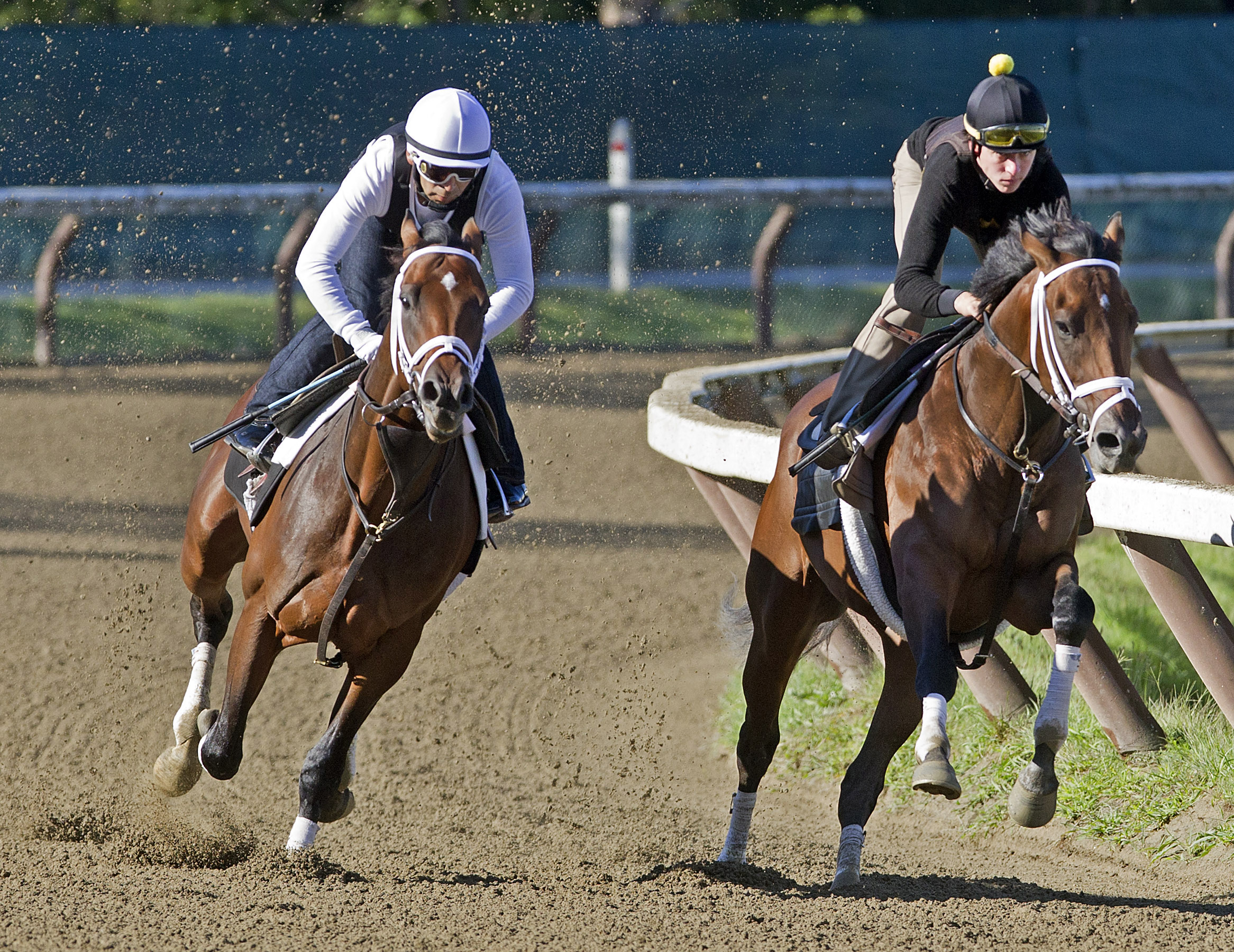 Palace Malice workout
