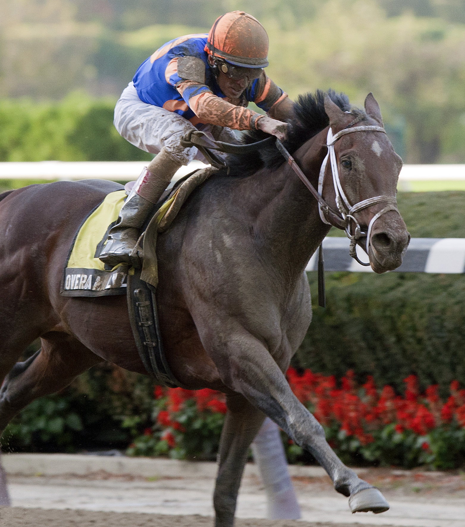 Overanalyze/Futurity Stakes