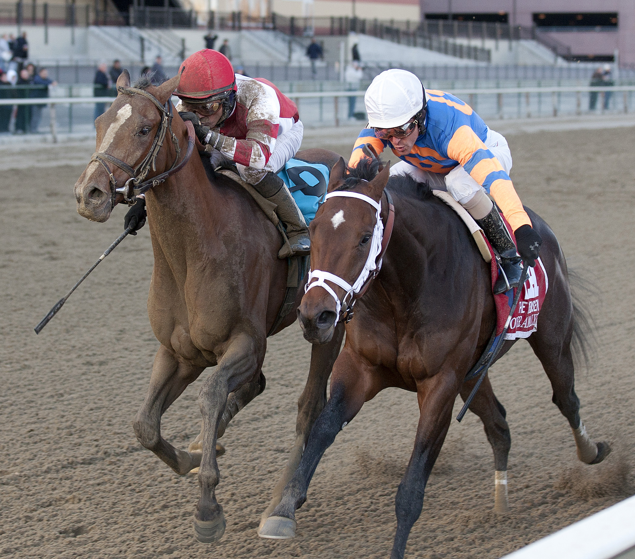 Aqueduct: Overanalyze targets Gotham, Wood Memorial for Kentucky Derby preps