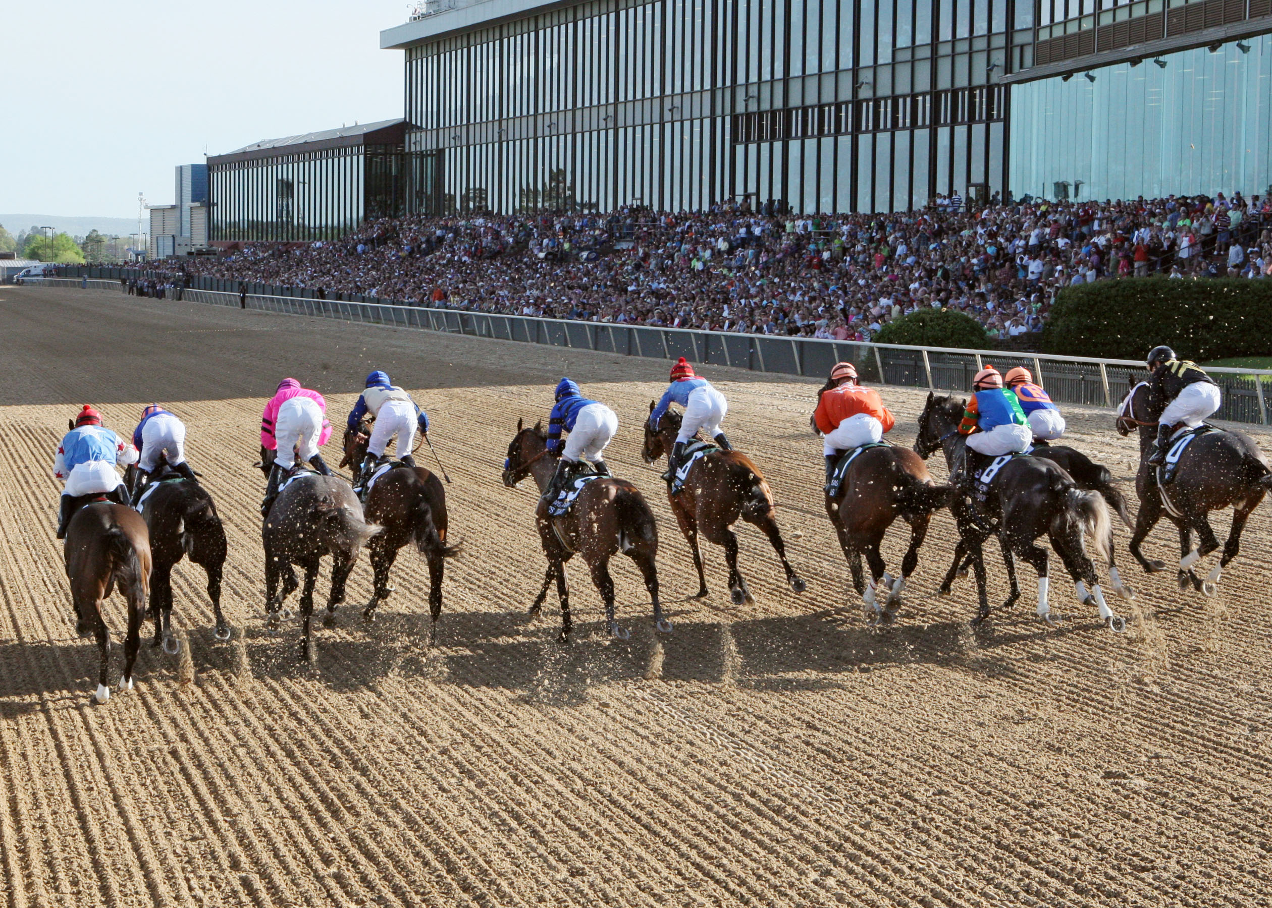 2013 Oaklawn Derby start