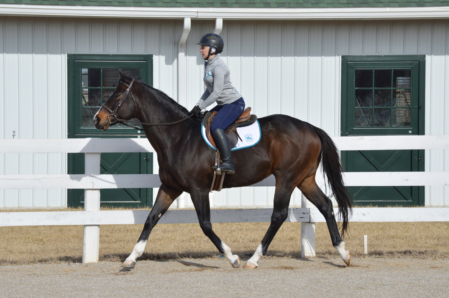 Overdriven at New Vocations Farm on Jan. 31