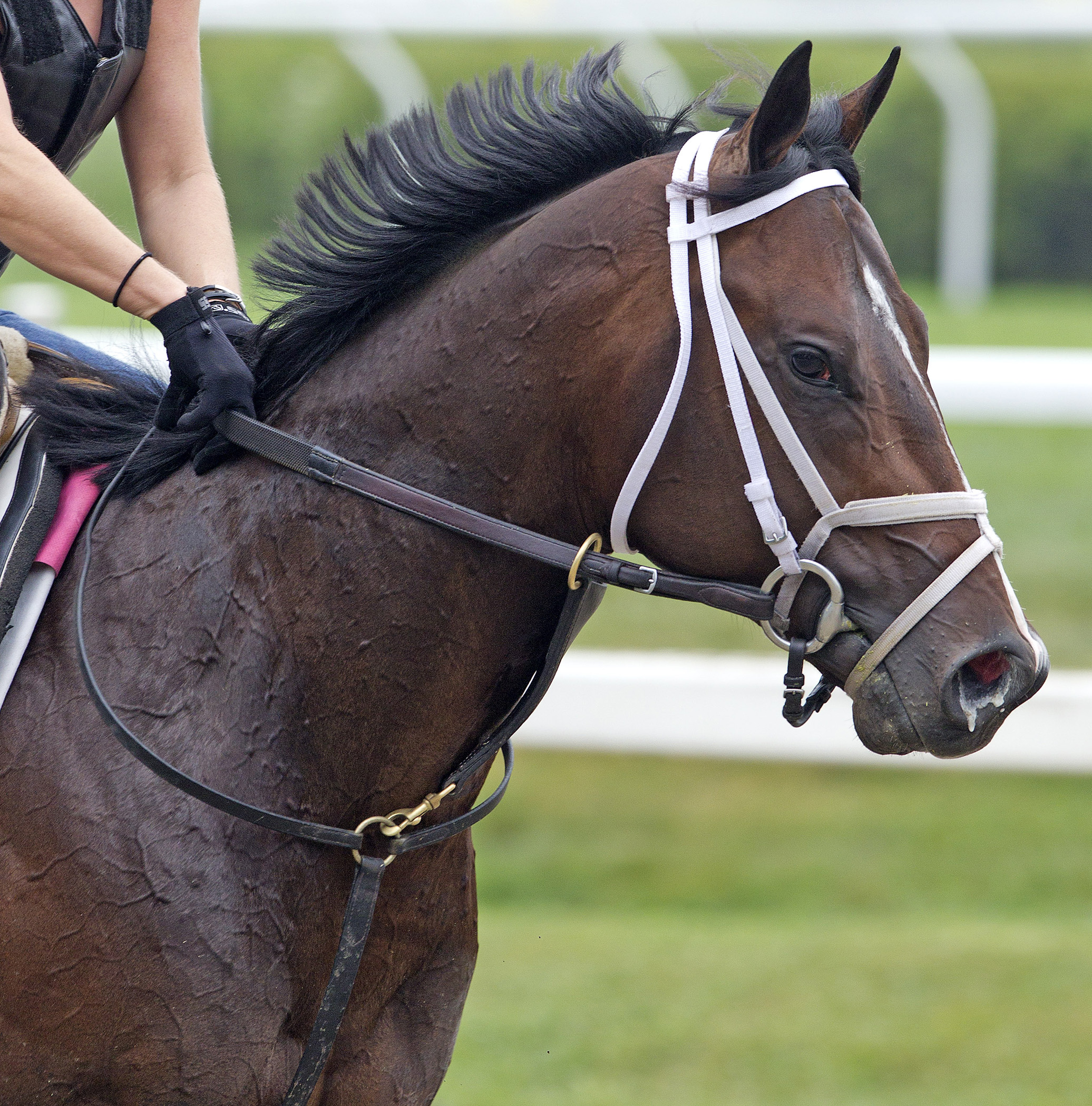 Overdriven, Aug, 7, 2011