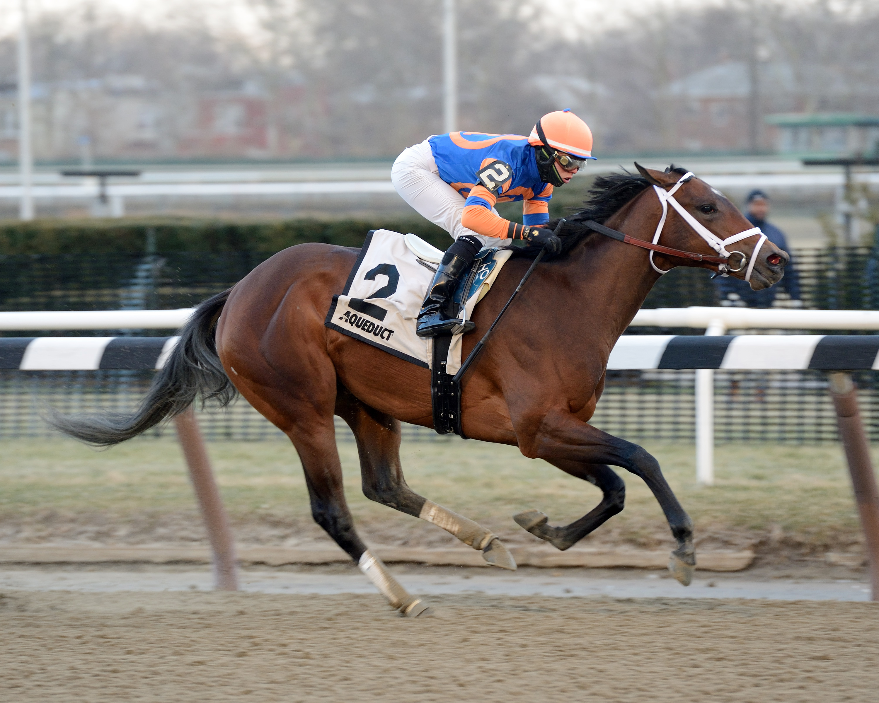 Overprepared wins the Busanda