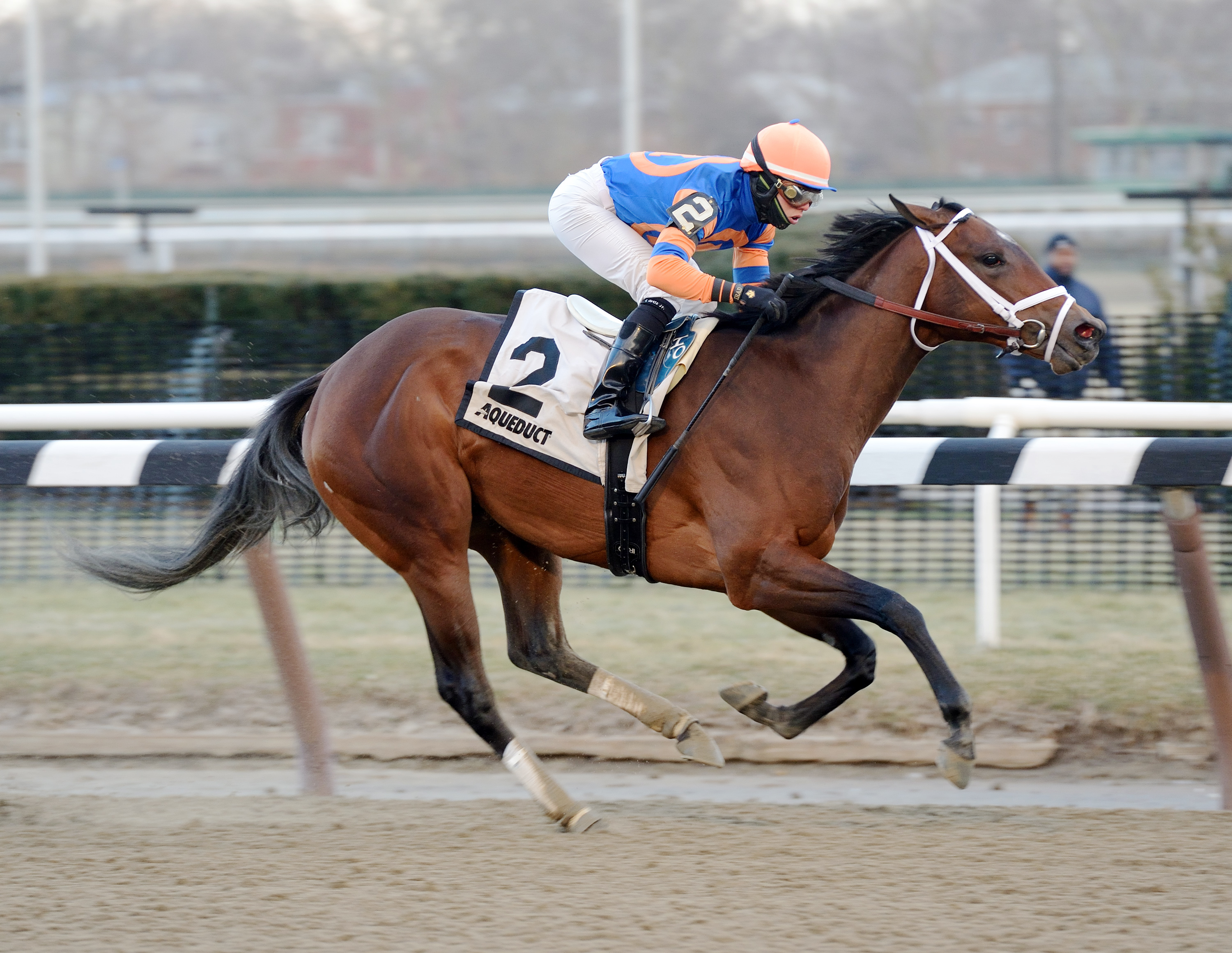 Overprepared wins the Busanda
