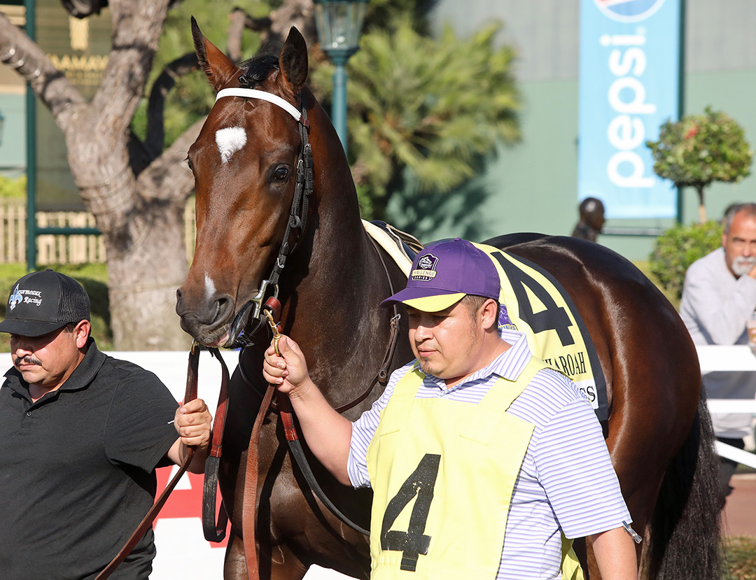 Oviatt Class at Santa Anita Park on Oct. 1