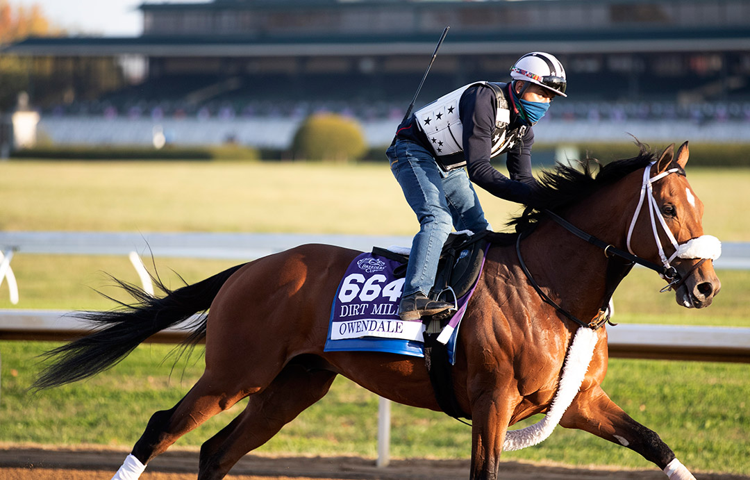Owendale trains at Keeneland Race Course in November 2020