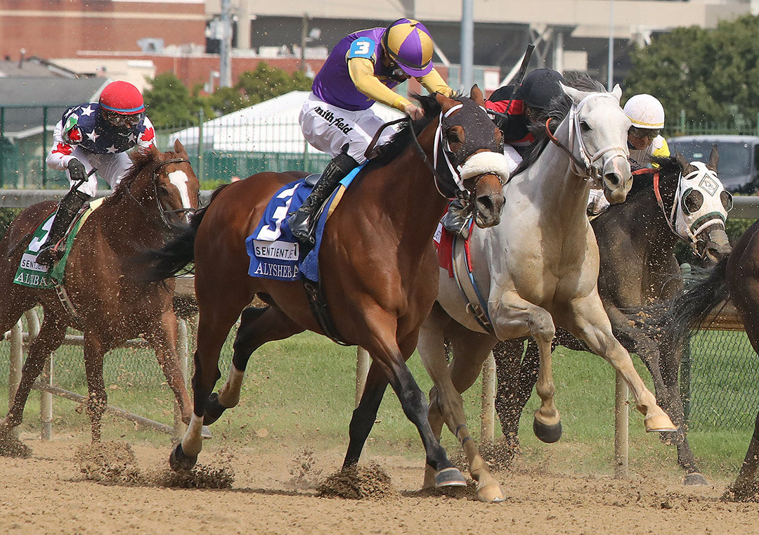 Owendale finishes second in the 2020 Alysheba at Churchill Downs