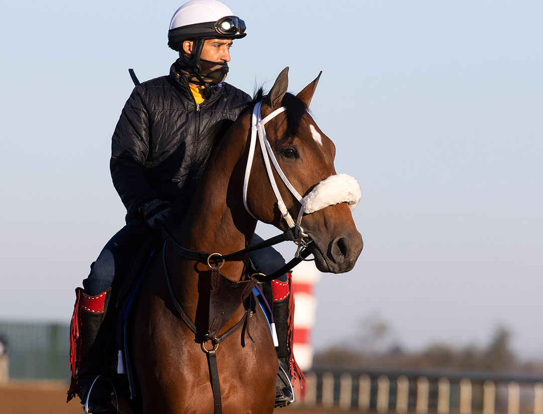 Owendale at Keeneland on Nov. 2
