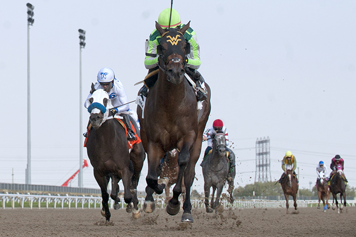 Owlette wins the 2019 Victorian Queen Stakes at Woodbine Racetrack
