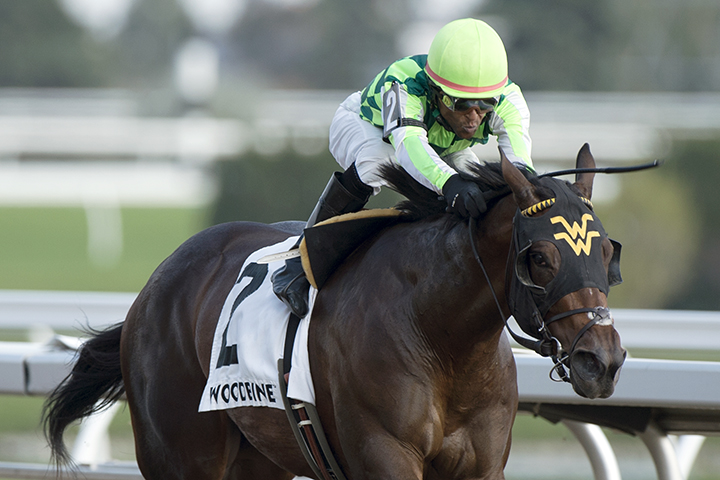 Owlette wins the 2019 Victorian Queen Stakes at Woodbine Racetrack