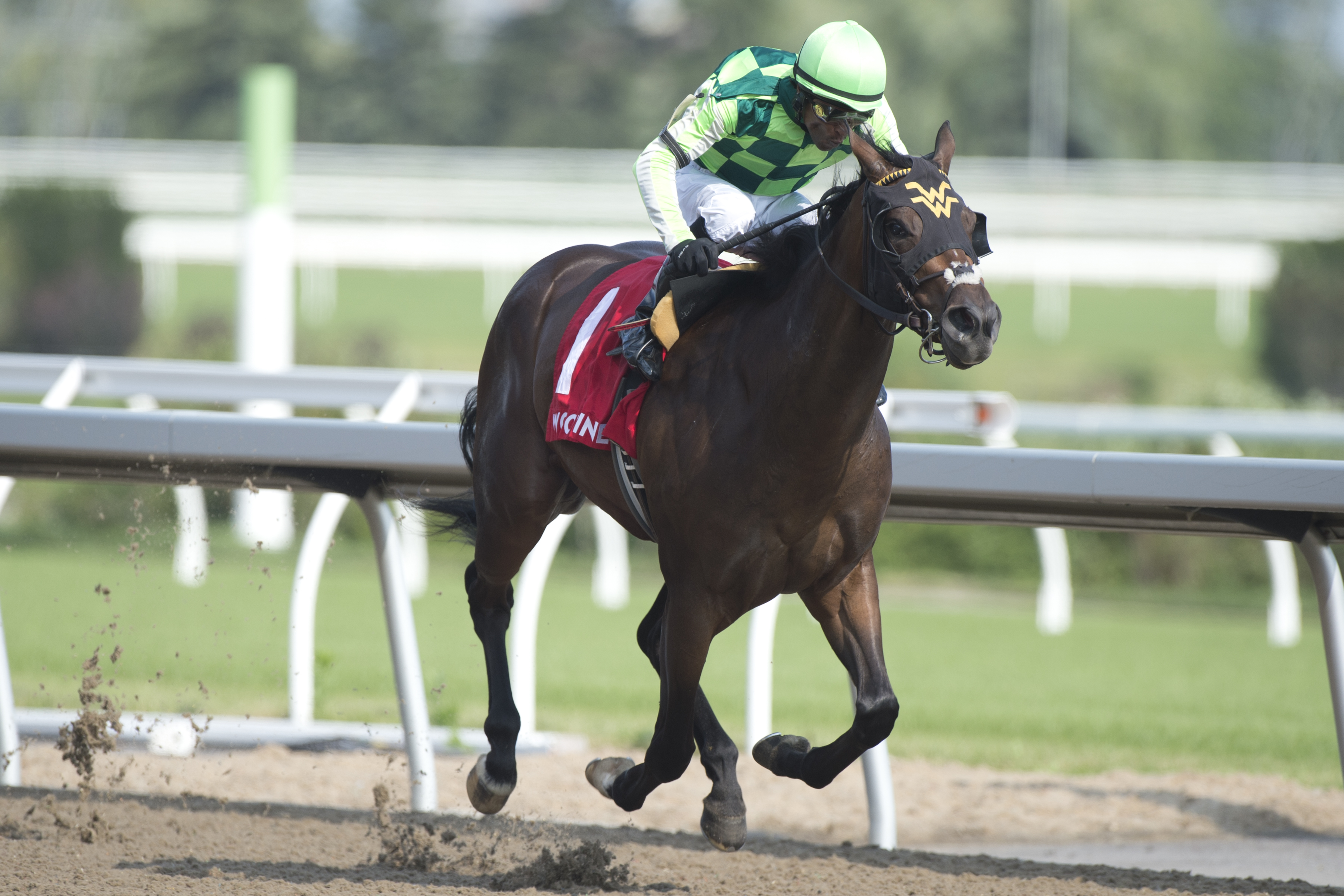 Owlette wins the 2019 Shady Well Stakes