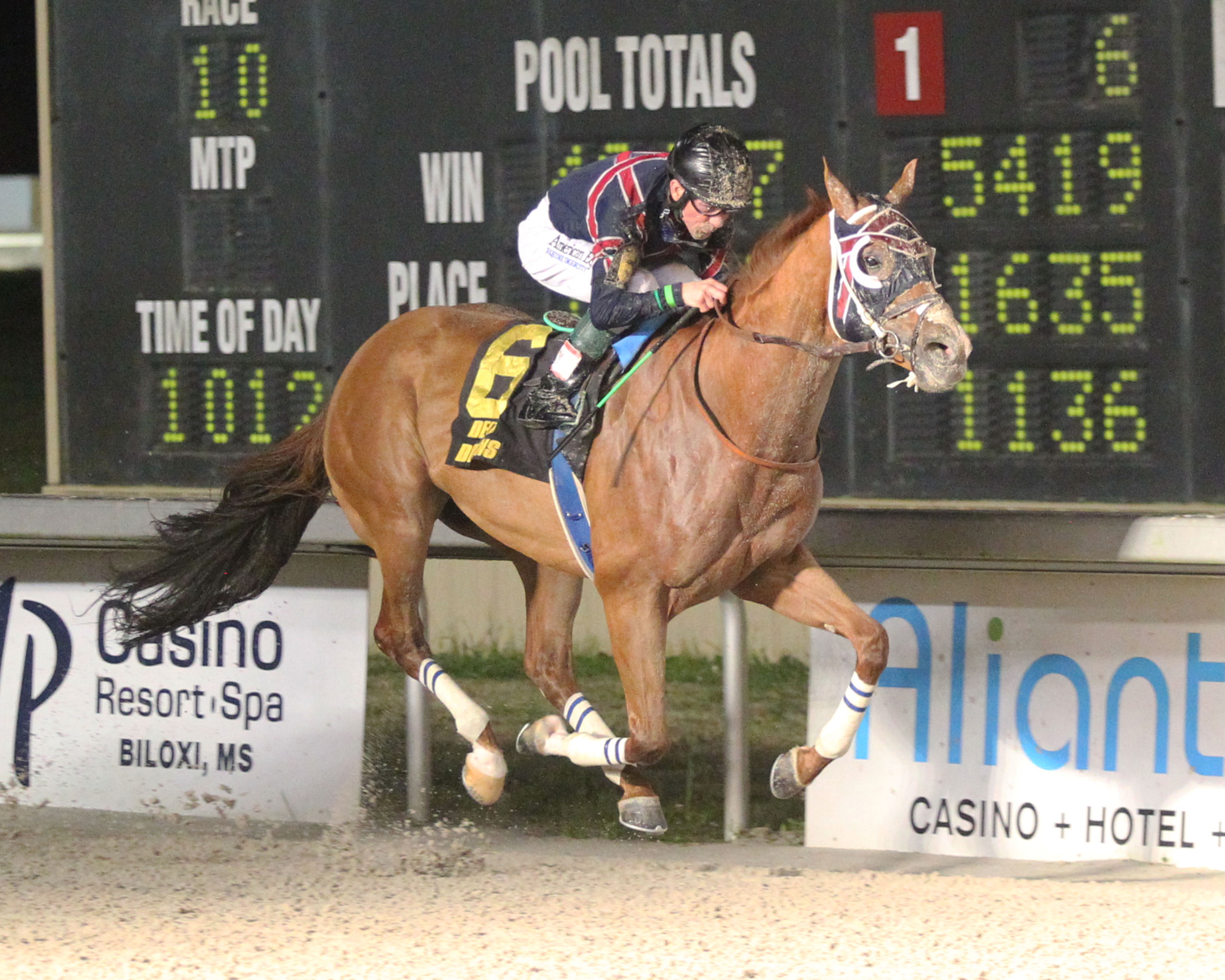 Underpressure wins the 2020 Owner Appreciation Cup