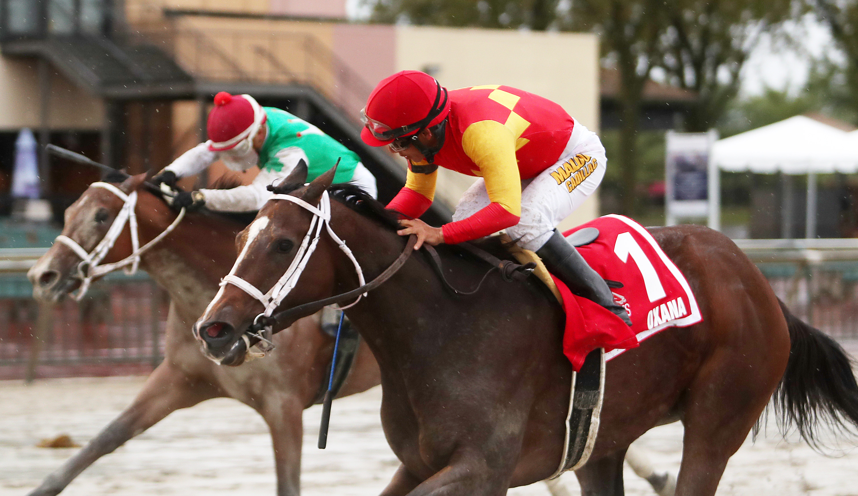 Oxana (No. 1) holds off Dr B to win the Roamin Rachel Stakes at Parx Oct 3 2022