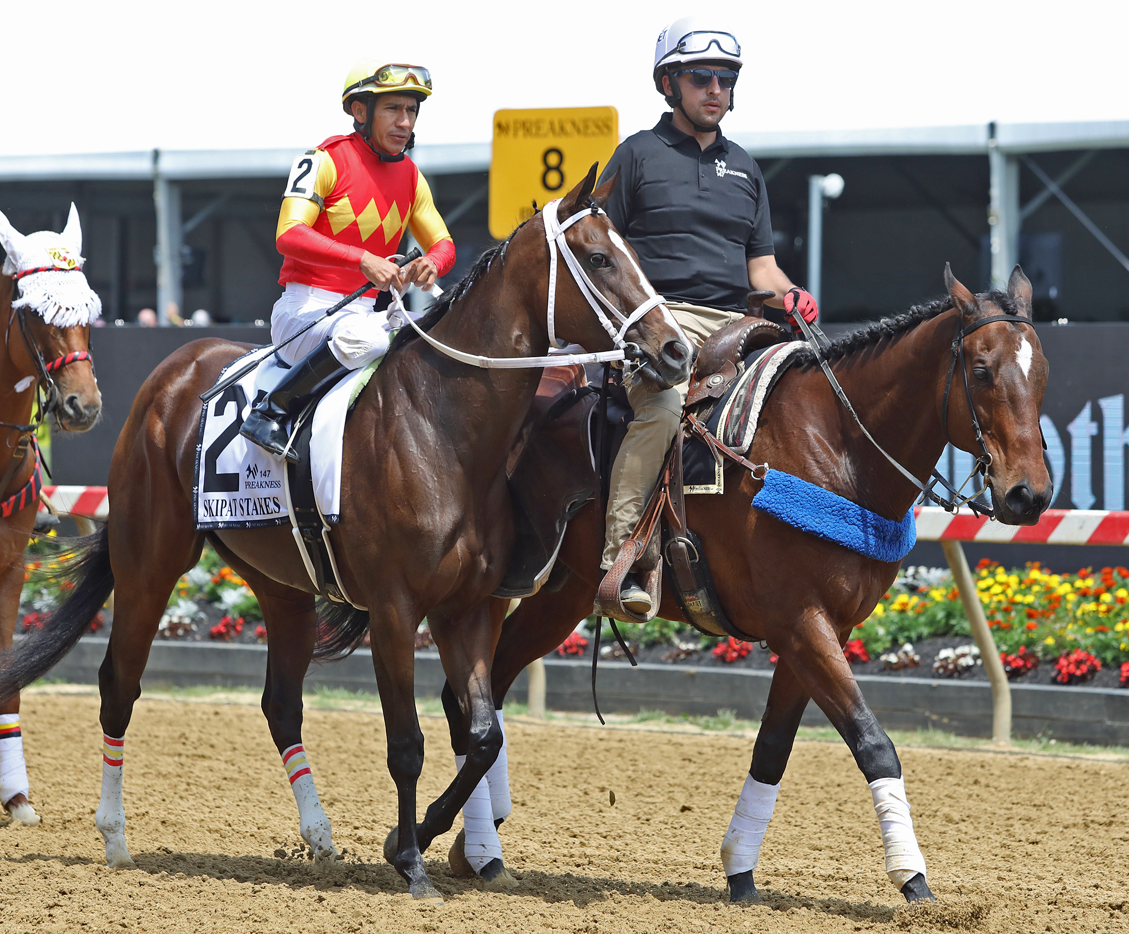 Oxana at Pimlico on May 21 2022