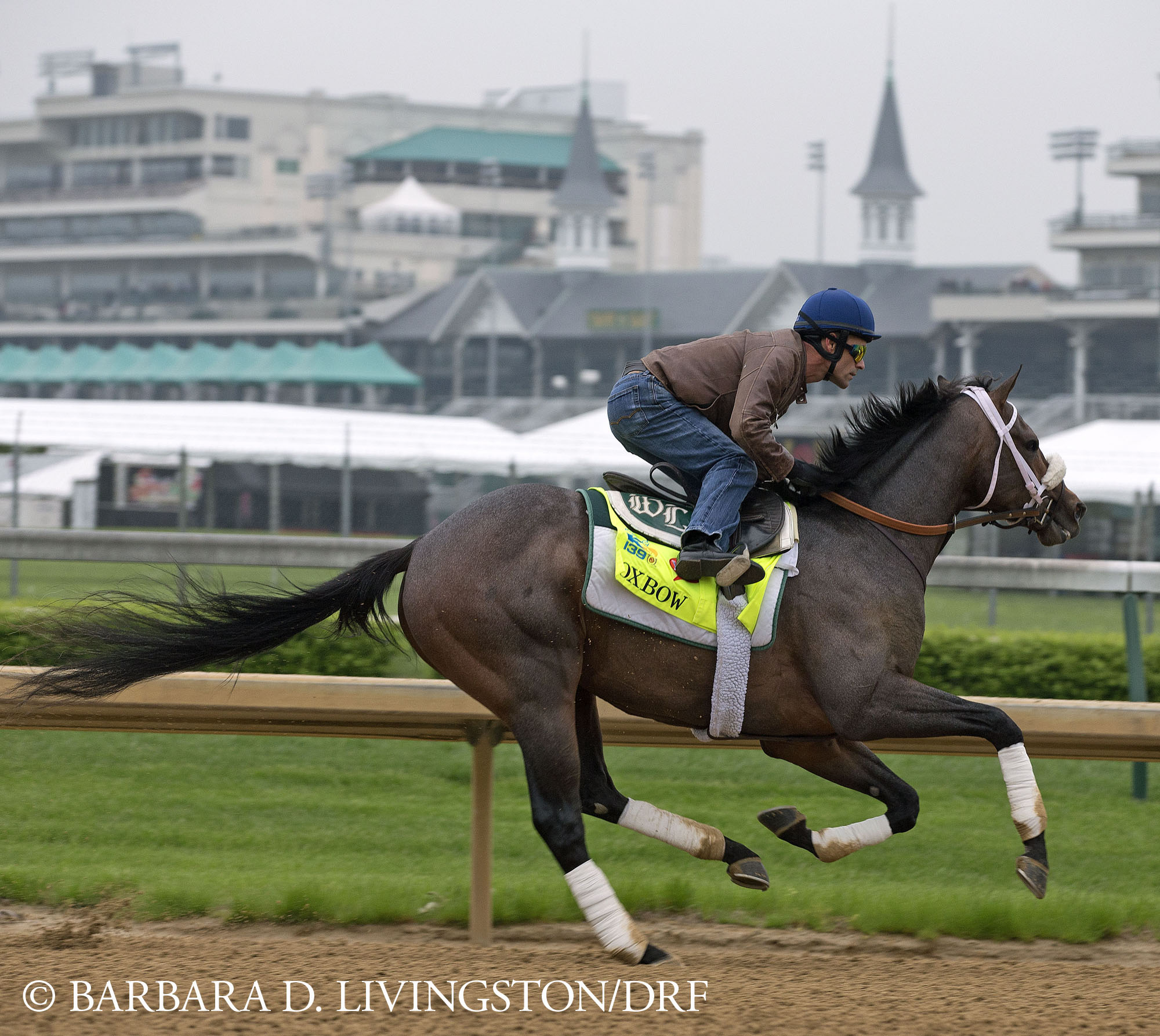 Oxbow, training April 29