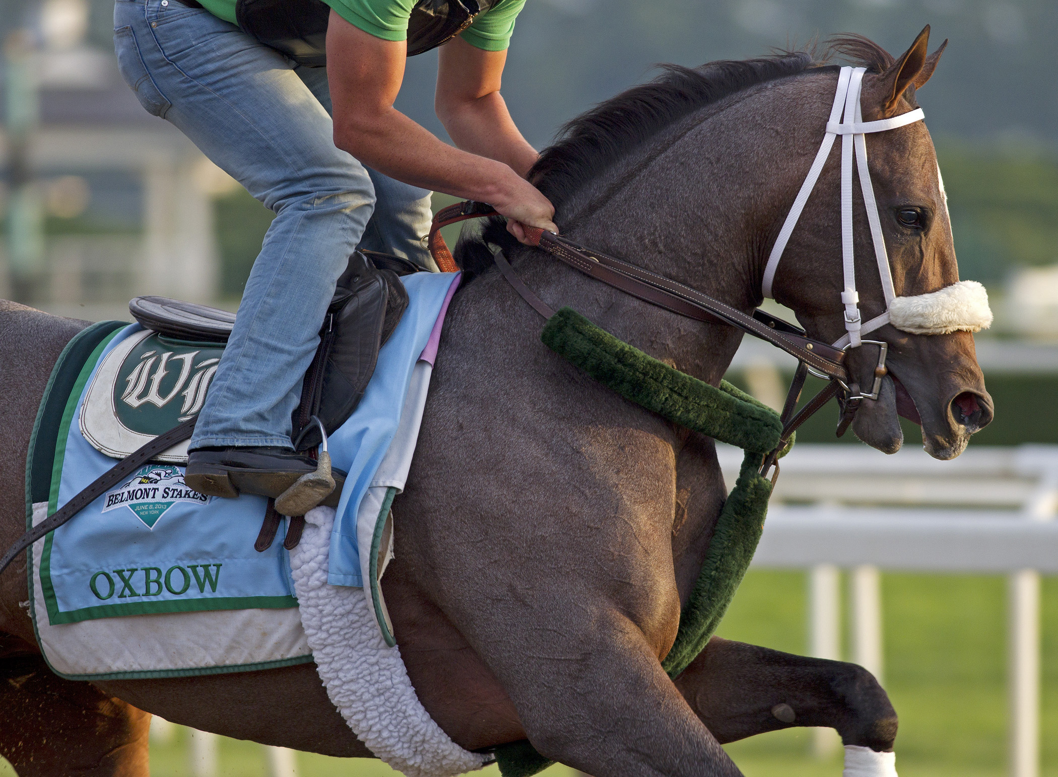 Oxbow, June 6, 2013
