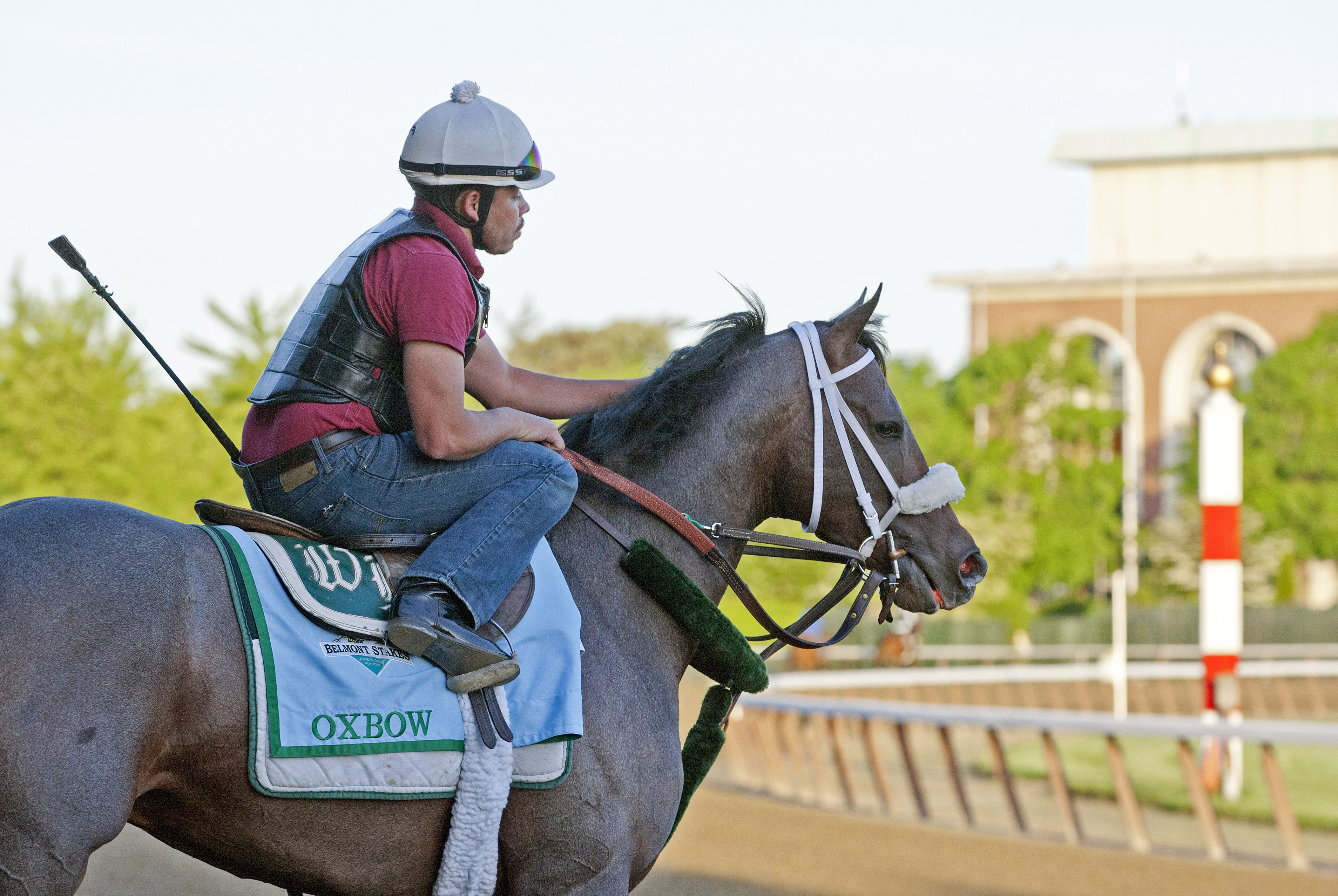 Oxbow at Belmont Park on June 5