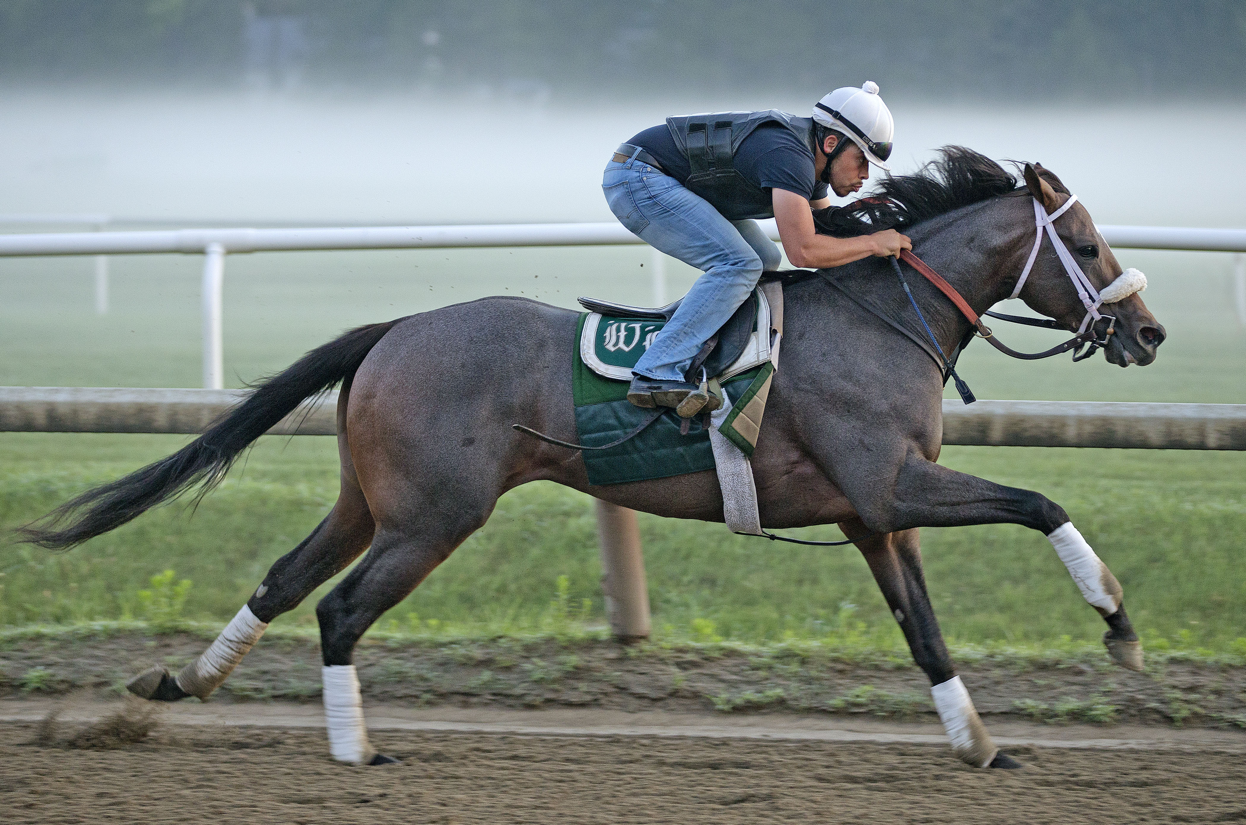Oxbow training at Saratoga July 15