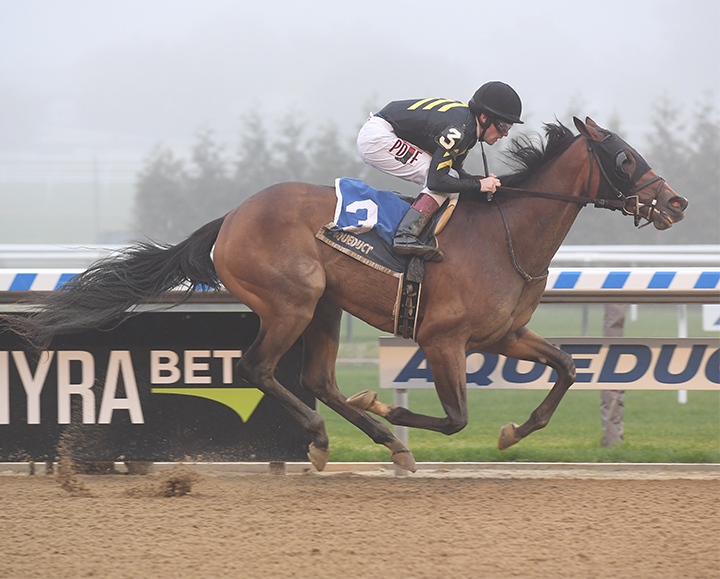 Oxy Lady wins the Tempted Stakes
