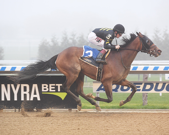Oxy Lady wins the 2018 Tempted Stakes
