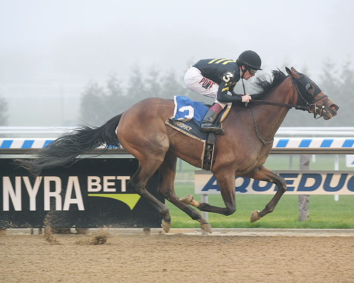Oxy Lady wins the 2018 Tempted Stakes
