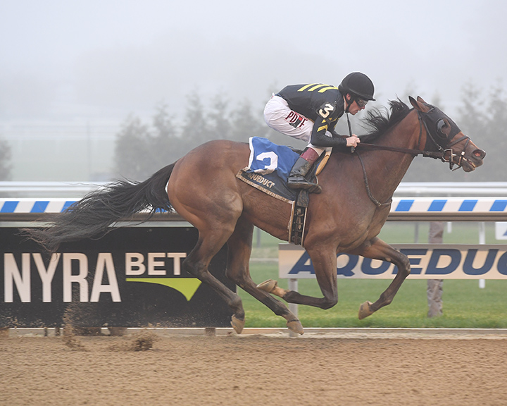 Oxy Lady wins the Tempted Stakes