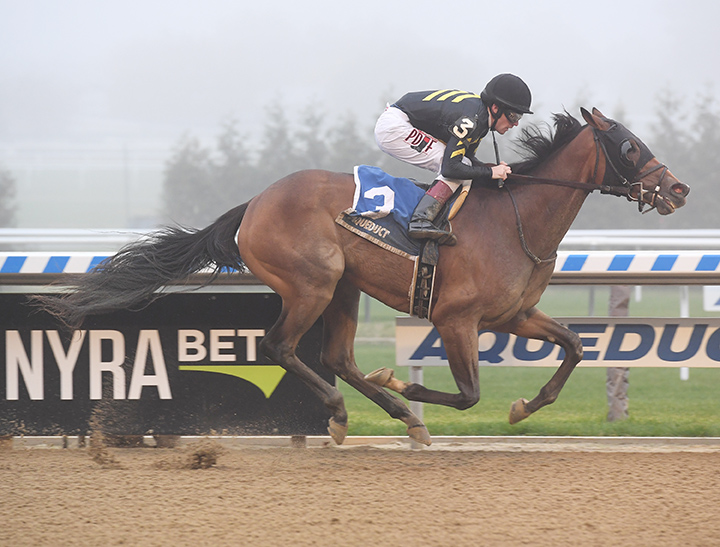 Oxy Lady wins the 2018 Tempted Stakes