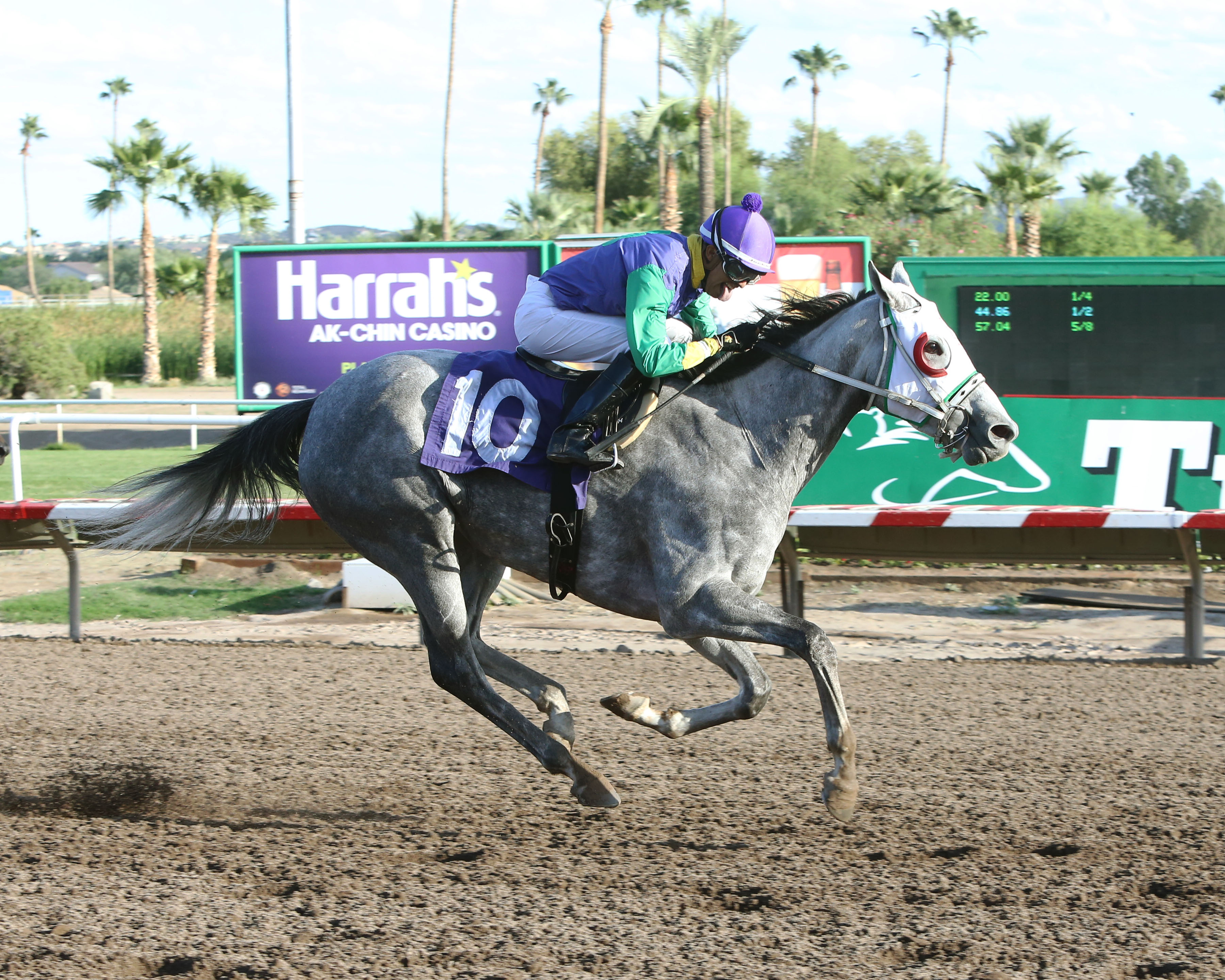 Paddy-s Secret wins the 2018 Princess of Palms Stakes