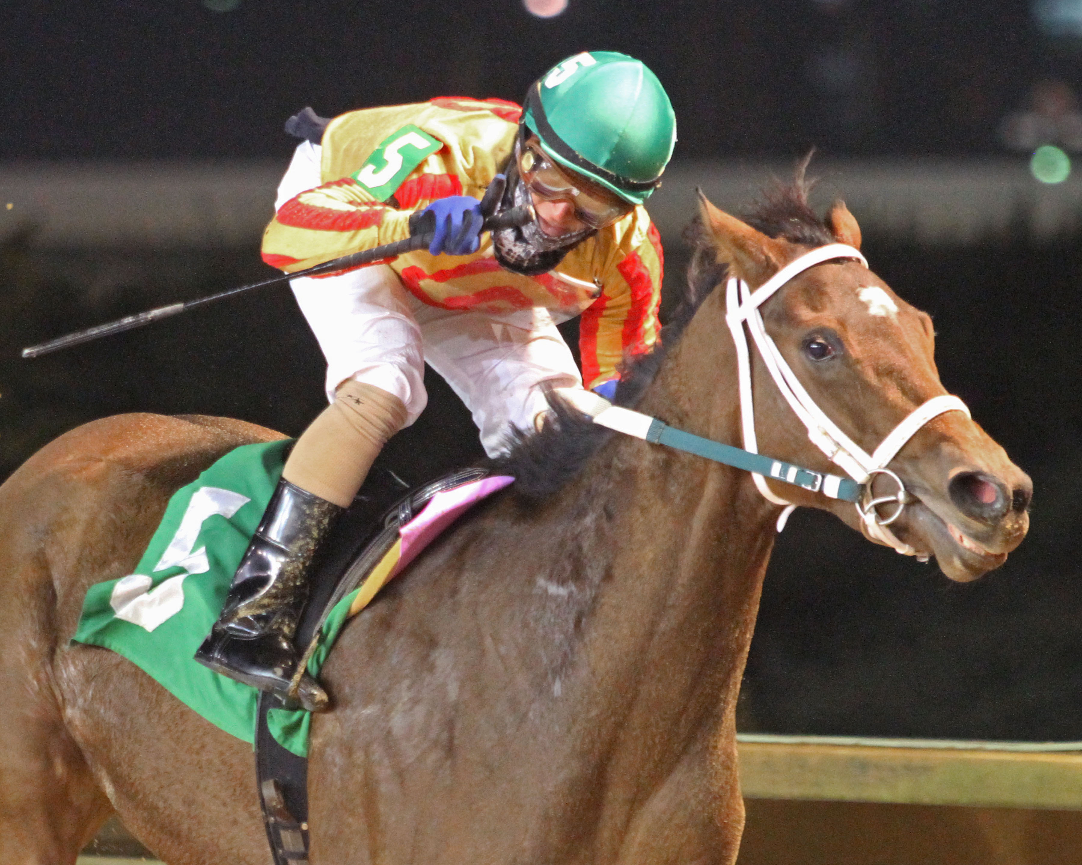 Parisian Diva wins 2018 Eleanor Casey