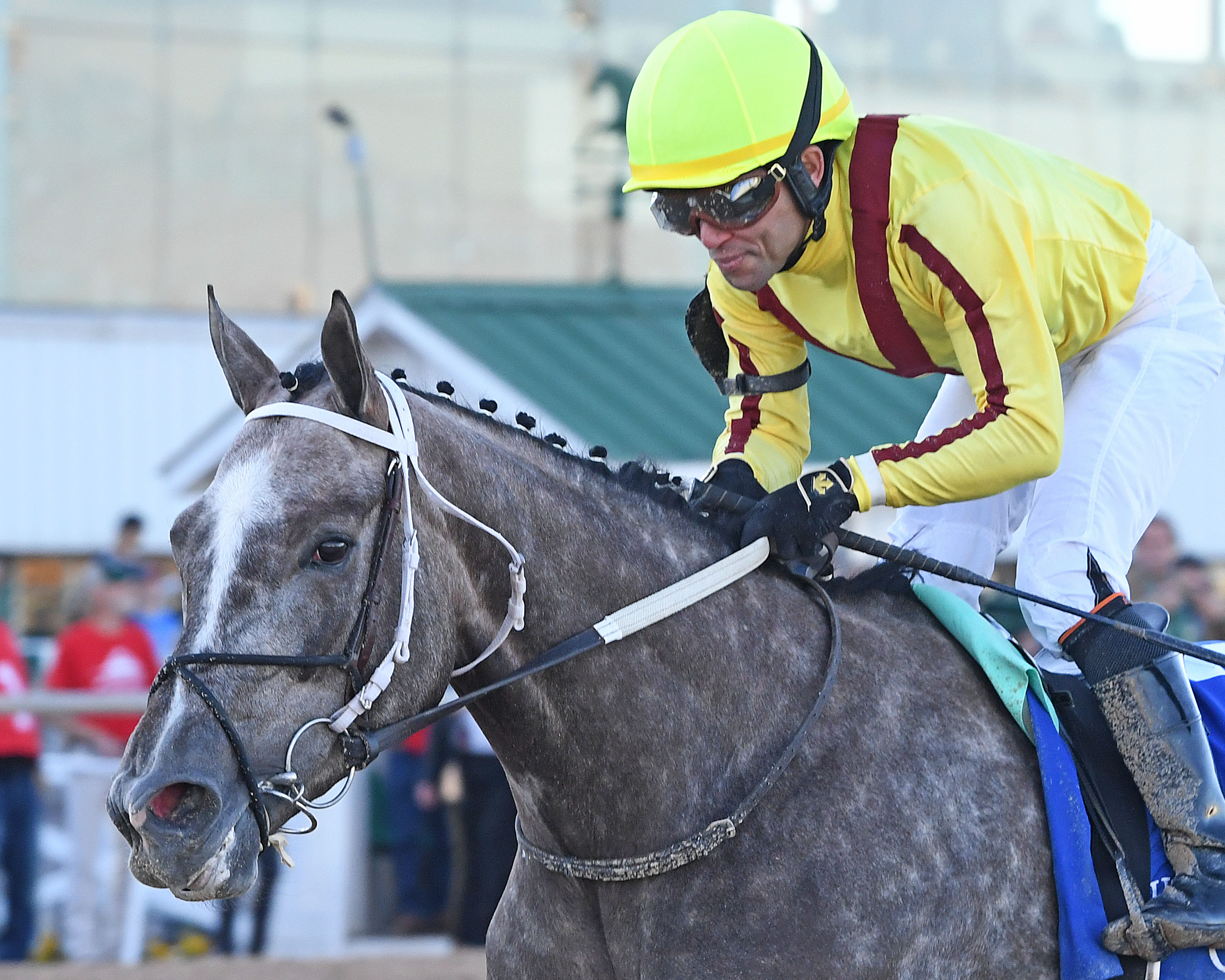 Pauline's Pearl wins Houston Ladies 1-30-2022