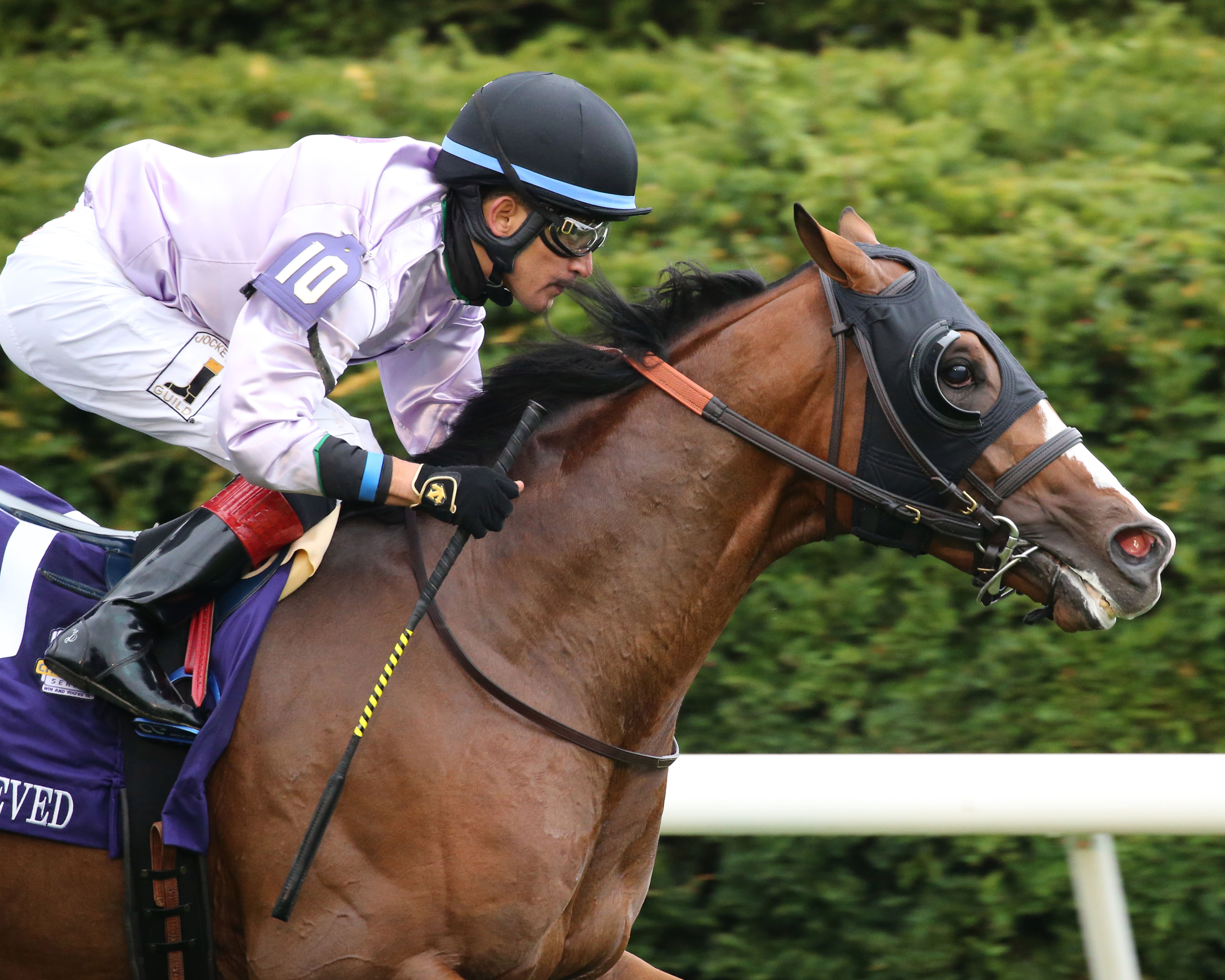 Peace Achieved wins the 2019 Bourbon Stakes