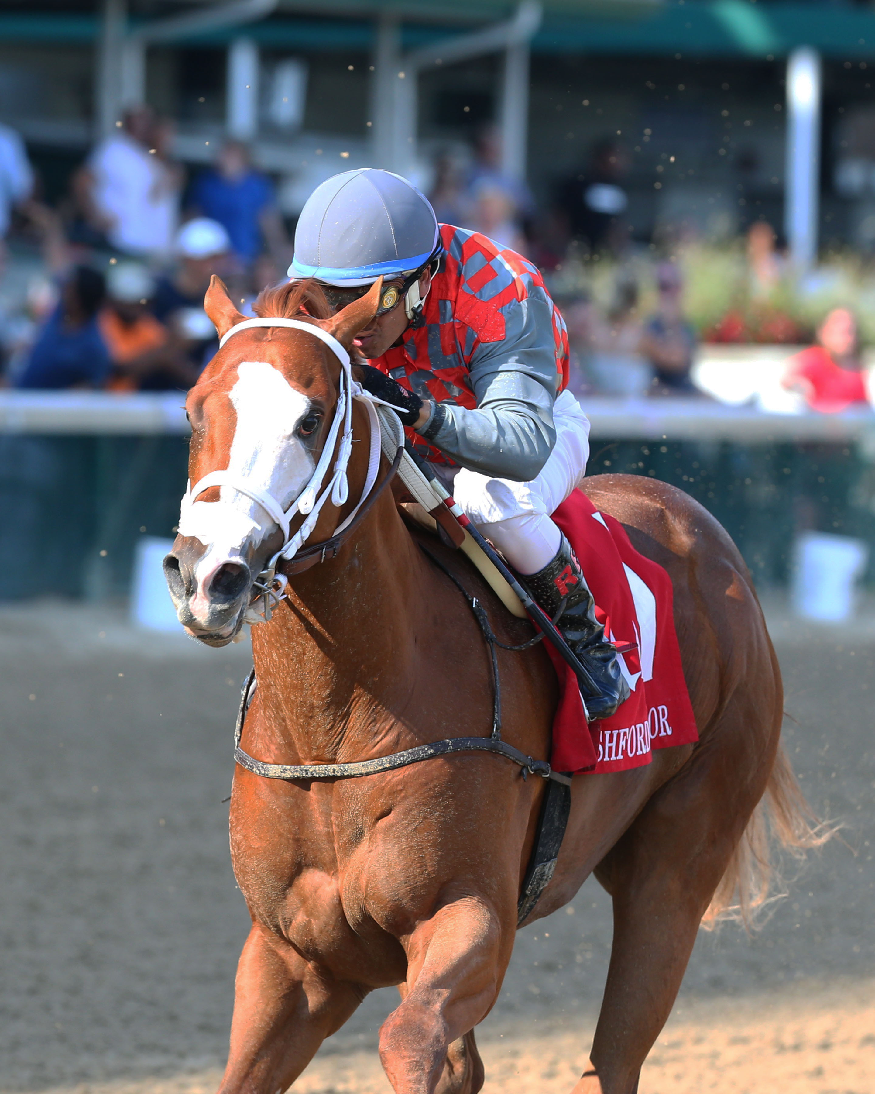 Phantom Boss wins the 2019 Bashford Manor Stakes